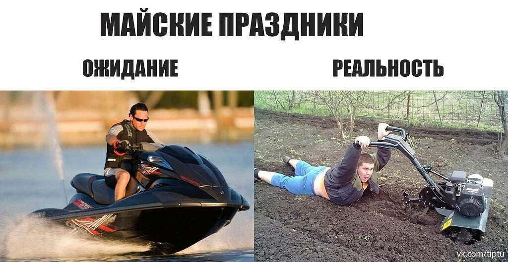 На майские праздники все люди делятся на два типа картинки