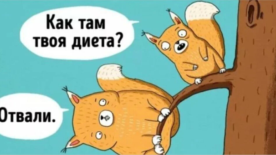 Картинка как твоя диета птички