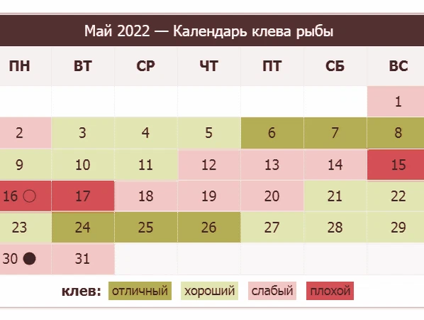 Календарь клева на январь 2024