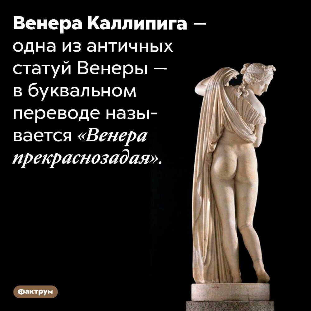 Венера прекраснозадая», стрессующий «Давид», оковы Статуи Свободы и другие…  | Фактрум | Дзен