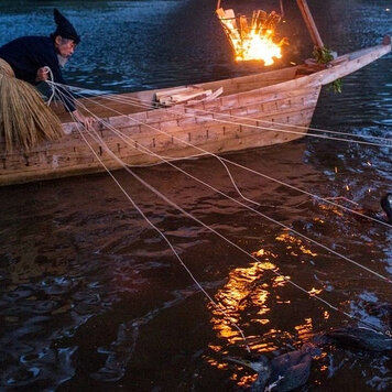 В Японии еще с древних времен существует особый вид рыбалки, которая называется Ukai. Это очень странная рыбалка – без удочек, без сетей, наживы и снастей.
