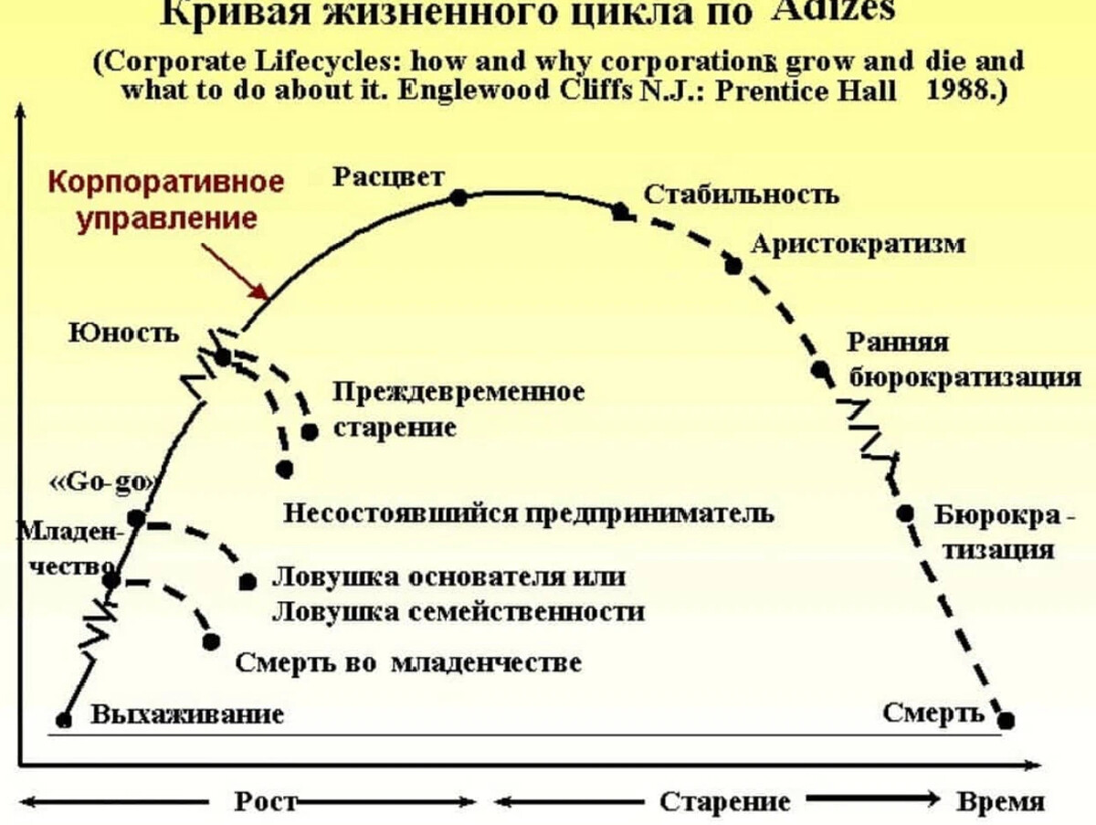 Смена жизненного цикла. Адизес этапы жизненного цикла организации. Стадии жизненного цикла организации (предприятия). Стадии жизненного цикла организации Адизес. Фазы жизненного цикла организации Адизес.