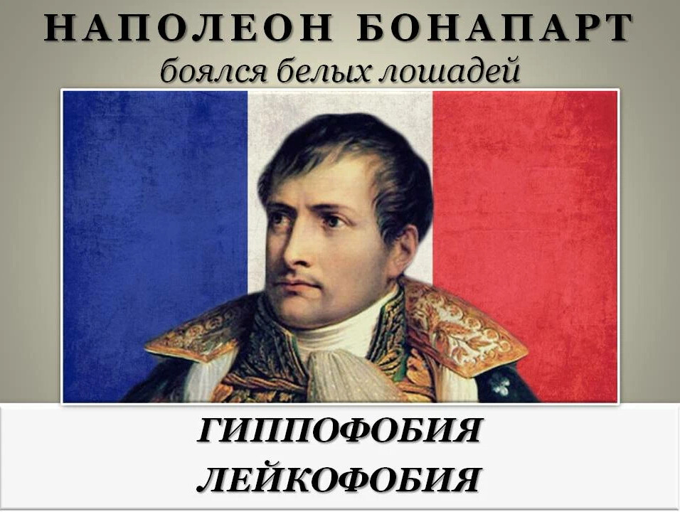 Наполеон бонапарт купить. Наполеон Бонапарт. Наполеон 6. Наполеон Бонапарт Понасенков.
