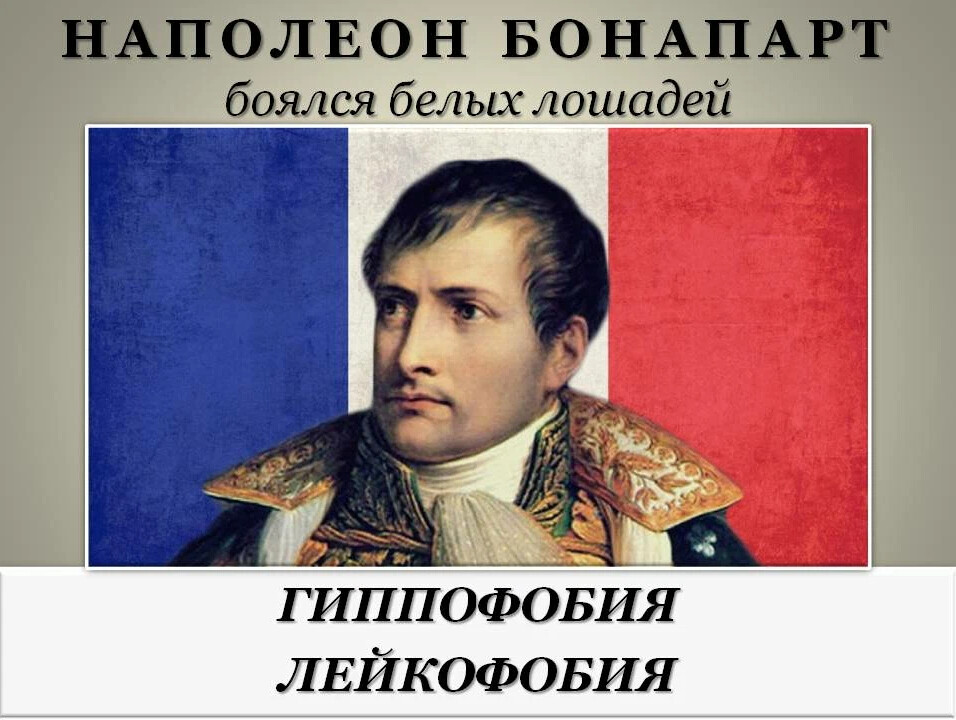 Бонапарт родился на острове. Николай Раевский. Николай Николаевич Раевский Отечественная война 1812. Что если бы Наполеон победил. Великие полководец Наполеон видео.