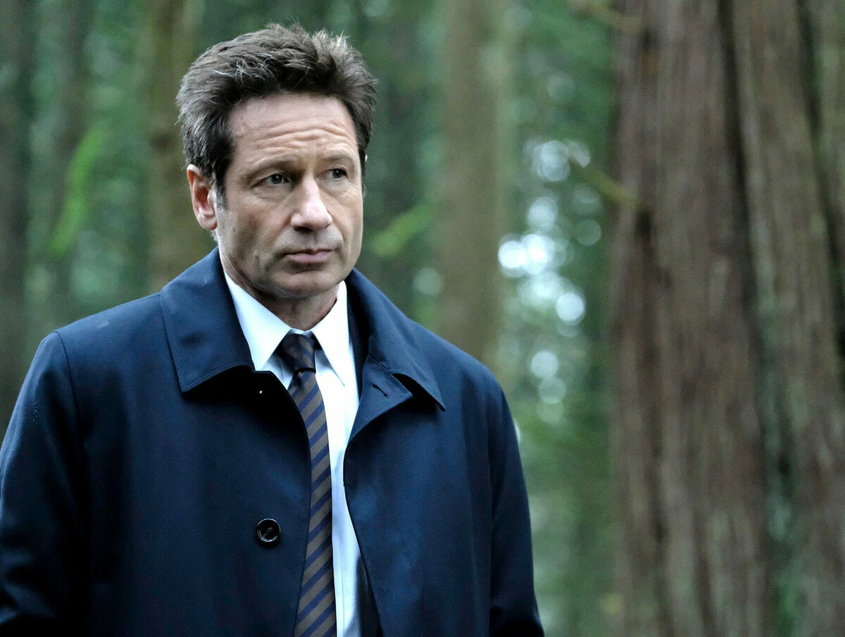 David Duchovny секретные материалы 2018