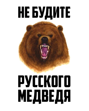 Не будите спящего медведя. Не будите русского медведя. Разбудили русского медведя. Медведь Россия не буди. Россия не буди русского медведя.