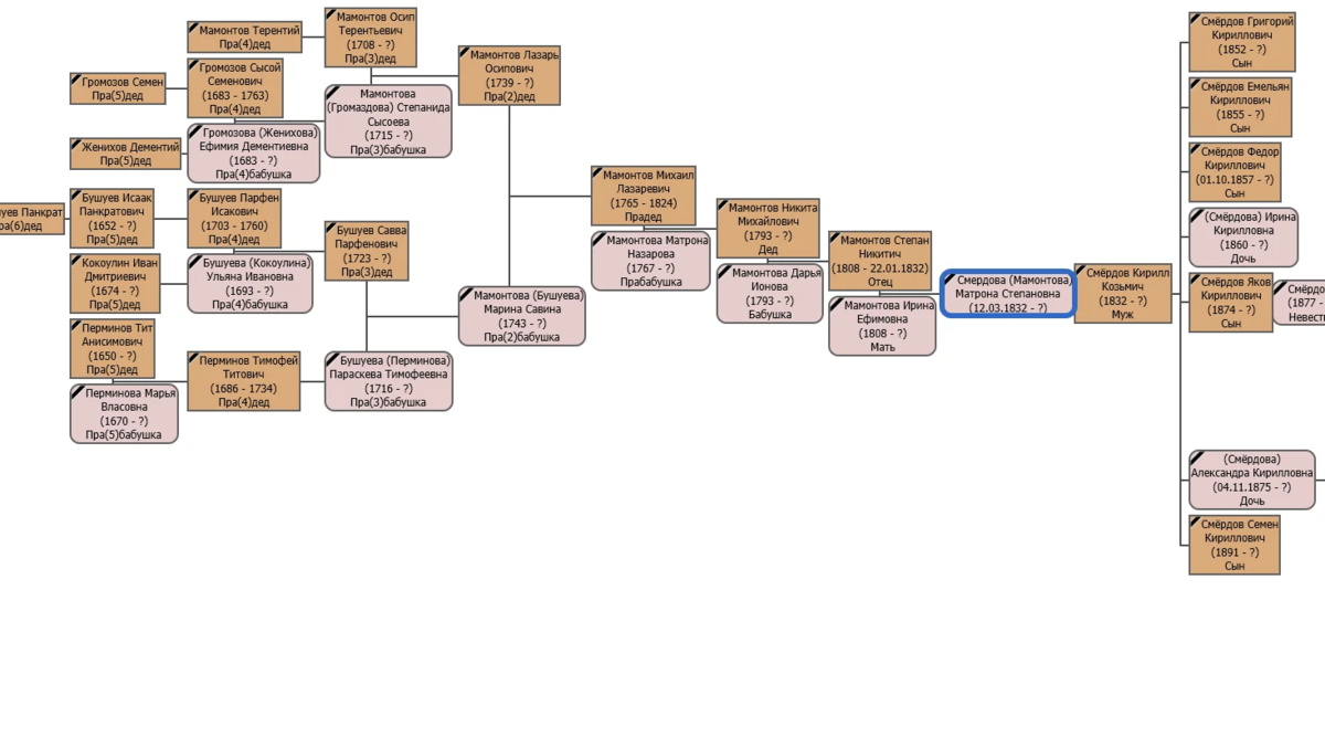 Последний из рода демидовых. Родословная Морозовых. Родословная Мамонтовых. Мамонтовы генеалогическое Древо.