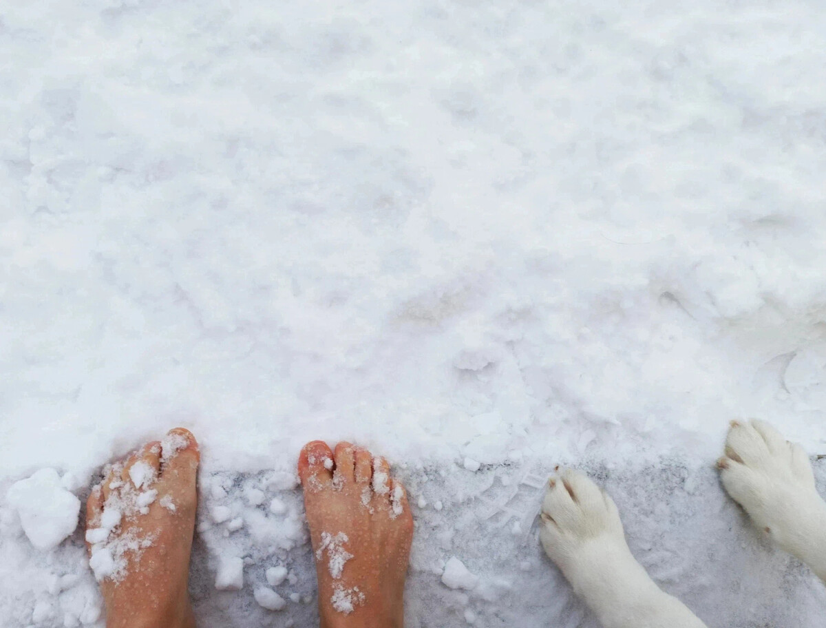 Босые ноги на снегу. Босая на снегу. Хождение босиком по снегу. Босиком зимой. Приснился сугроб