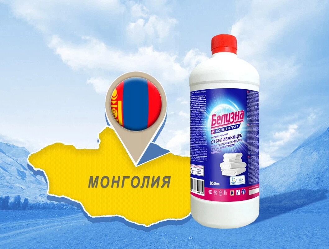 Флаер бытовая химия. Отбеливатель от белья пемакс. Новосибирский завод бытовой химии. Новосибирский завод бытовой химии нзбх. Новосибирский завод бытовой химии официальный сайт.