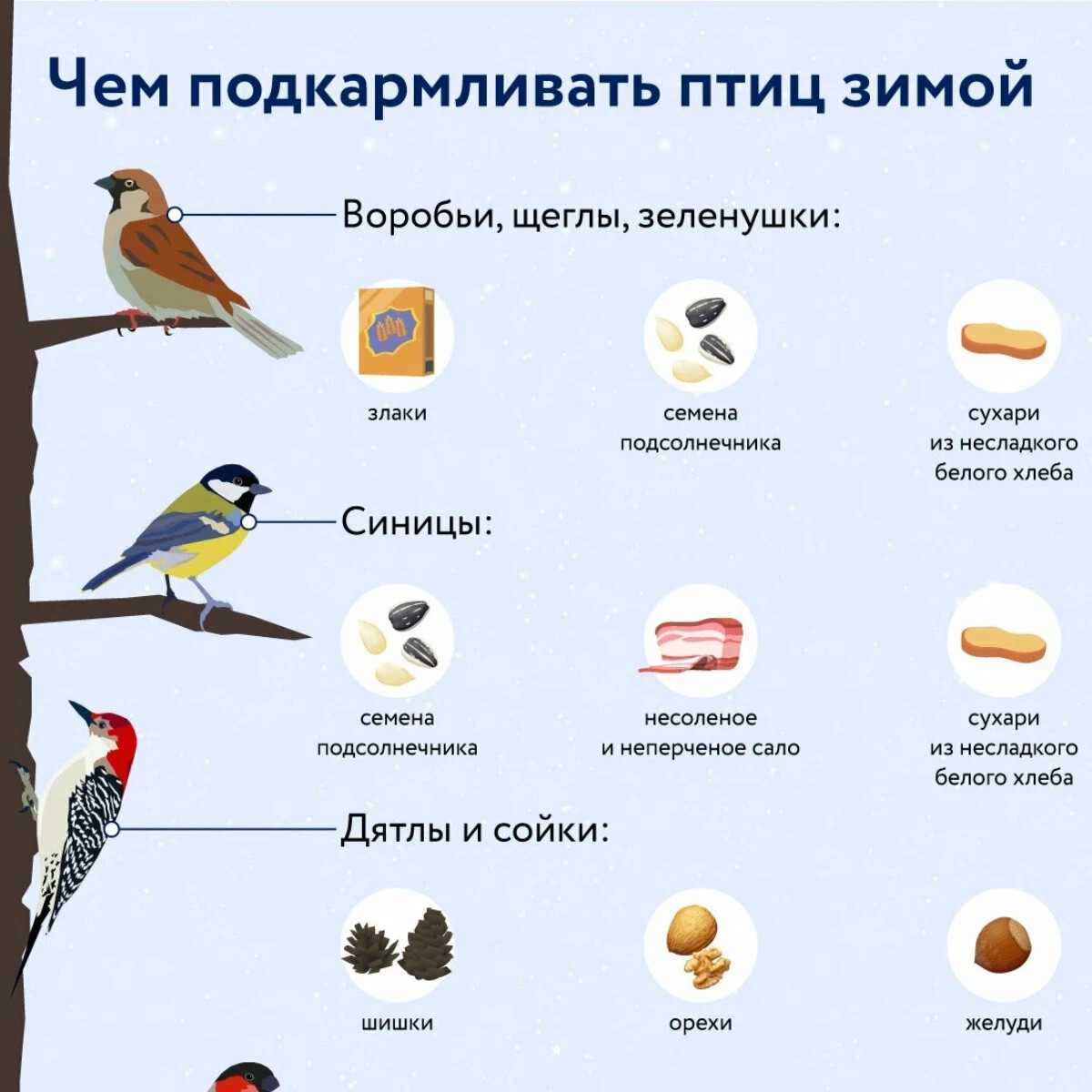 Можно ли кормить птиц хлебом