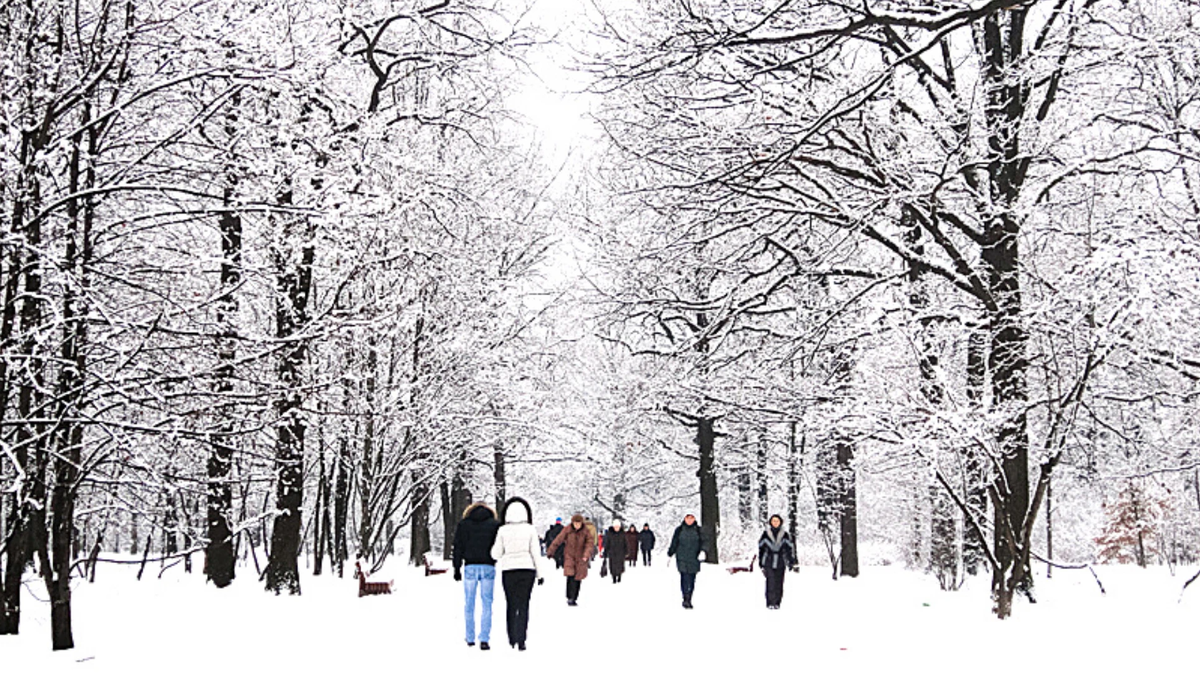 Тем кто идет по зимнему парку. Ботанический сад Екатеринбург зимой. Прогулка зимой. Прогулка в зимнем парке. Зима парк с людьми.
