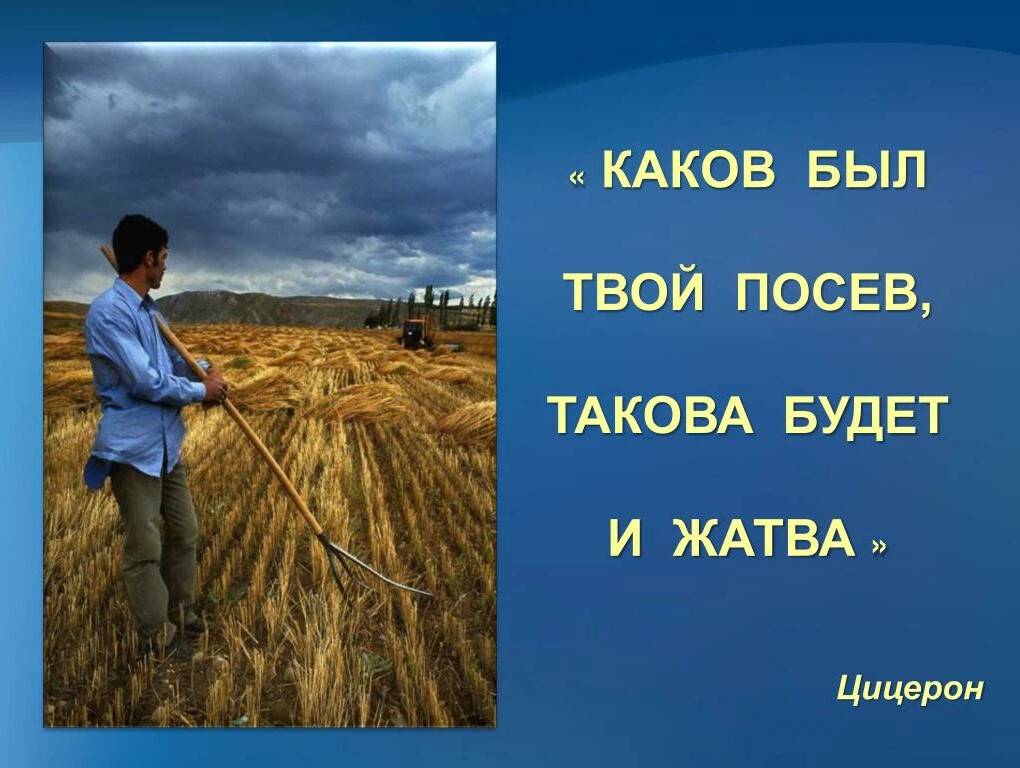 Жать там где сеял смысл высказывания. Закон сеяния и жатвы. Сеяние и жатва. Сеяние и жатва в Библии. Сеяние и жатва картинки.