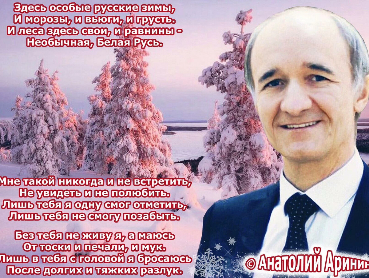 Стих анатолия. Стихи Анатолия Аринина о зиме.