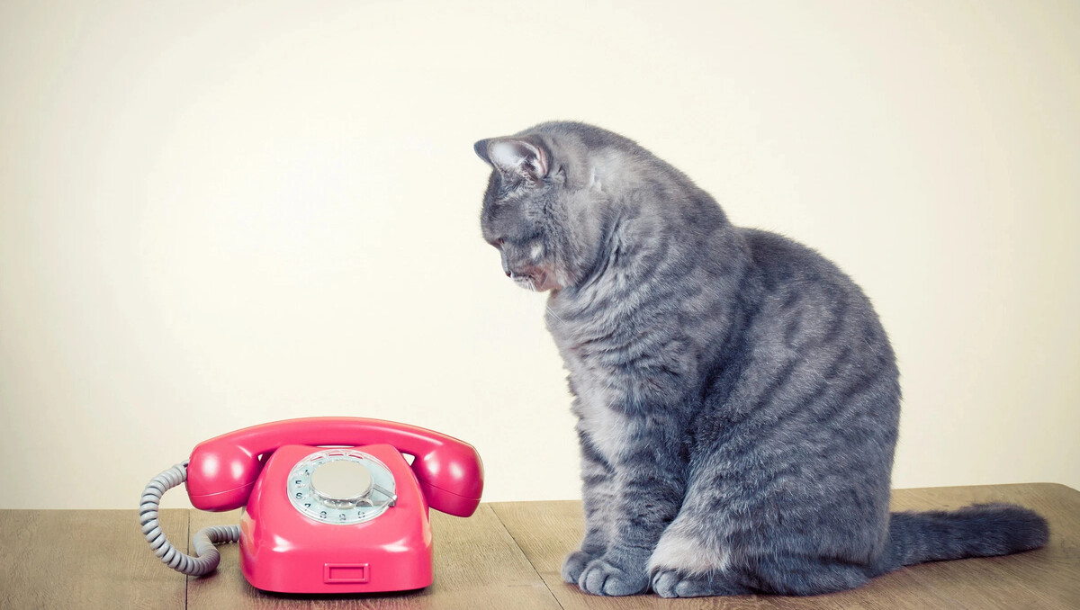 Позвоните когда будет удобно. Наберёшь. Выгодно и удобно. Позвоните когда будет удобно. С нами выгодно.