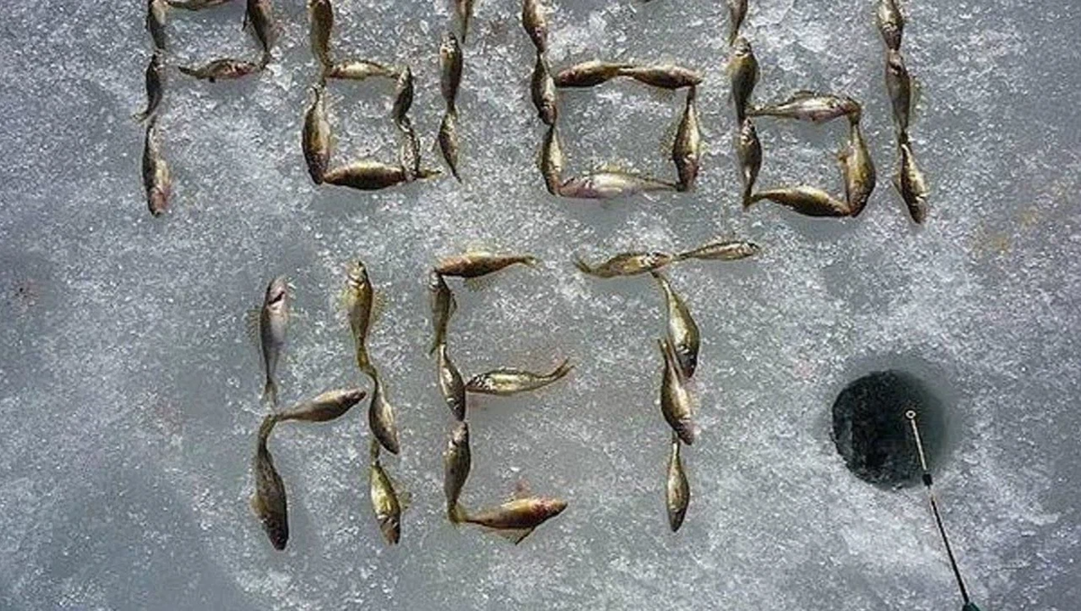 Где рыба фото