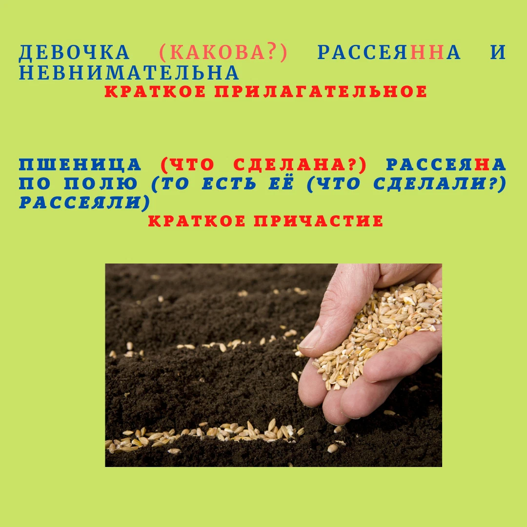 Девочка воспитанна и тактична. Девочка воспитана бабушкой. Чувствуете  разницу… | С русским на ты | Дзен