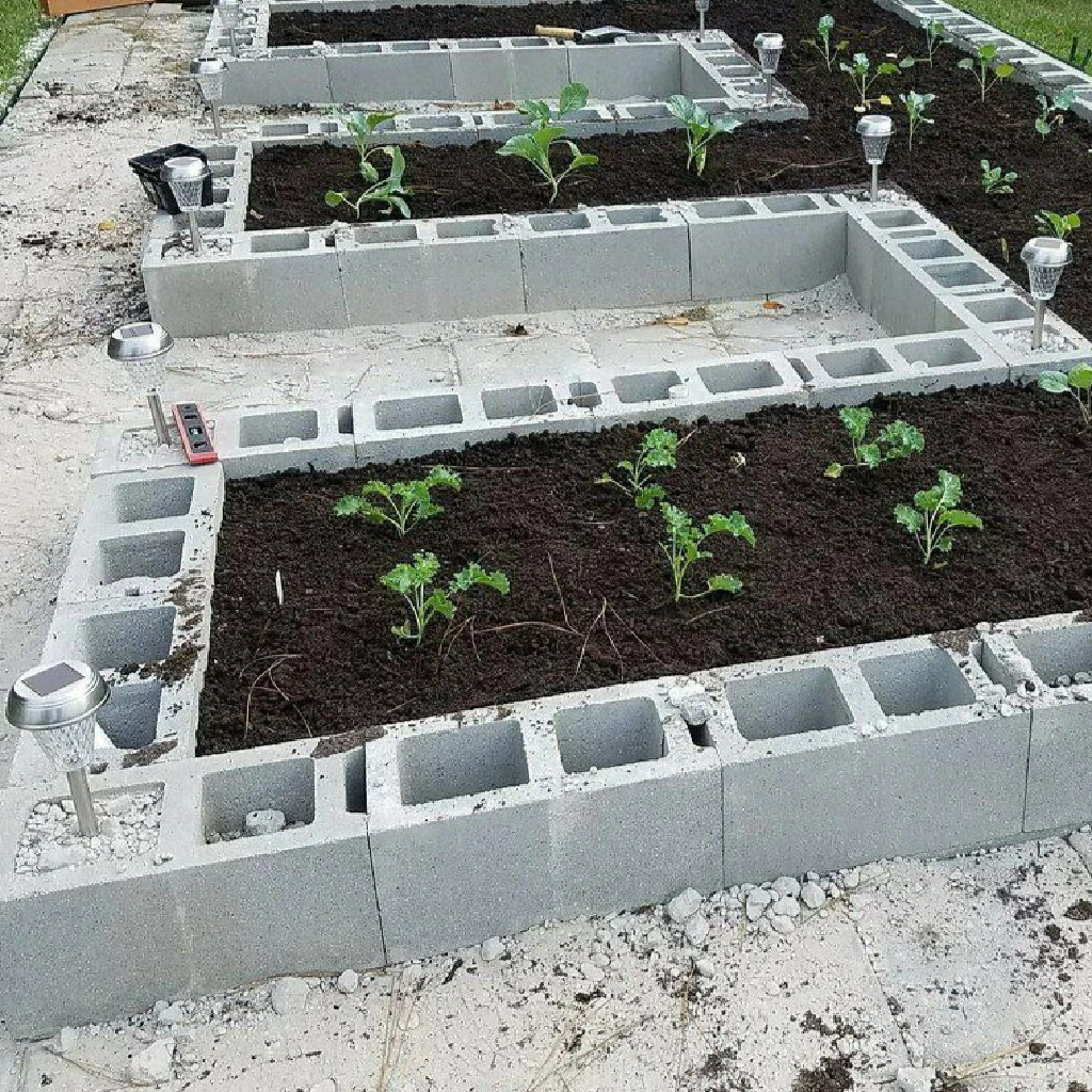 Грядки из бетонного бордюра своими руками