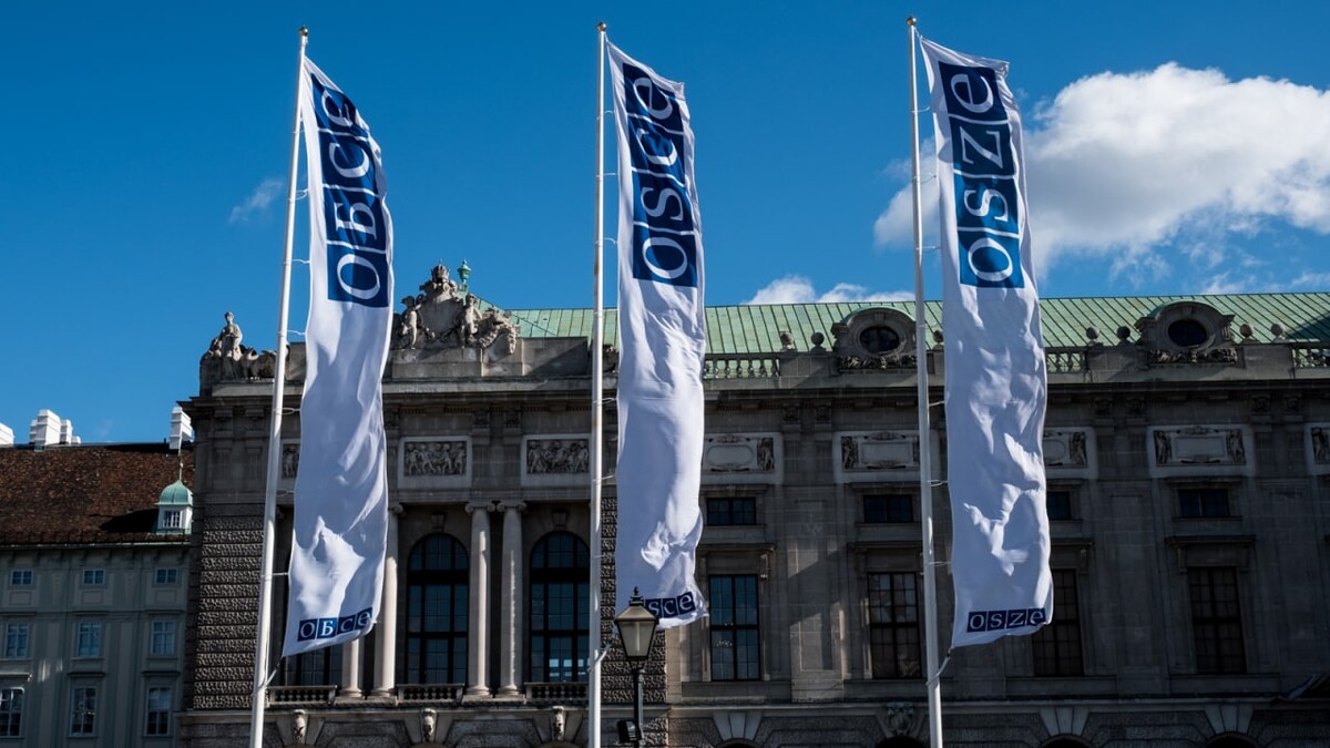 Обсе оон. ОБСЕ штаб квартира в Вене. ОБСЕ Австрия Вена. Флаг ОБСЕ. Организация по безопасности и сотрудничеству в Европе (ОБСЕ).
