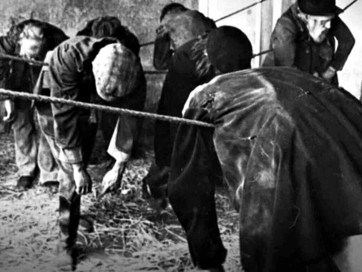 «Двухпенсовый подвес» — так называлась ночлежка в Лондоне, которая не ...