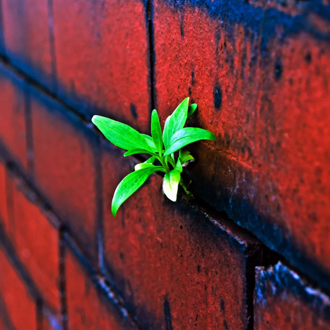 Where there is a will there is a way перевод пословицы. One way to god картинка. Where there is a will. Where is there. Where there is a will there is a way.