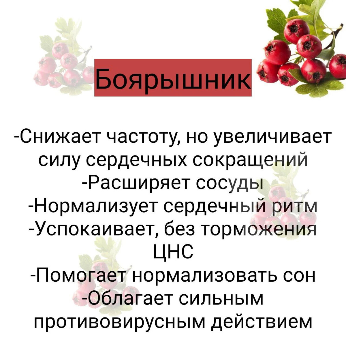 мясо крепит или слабит стул