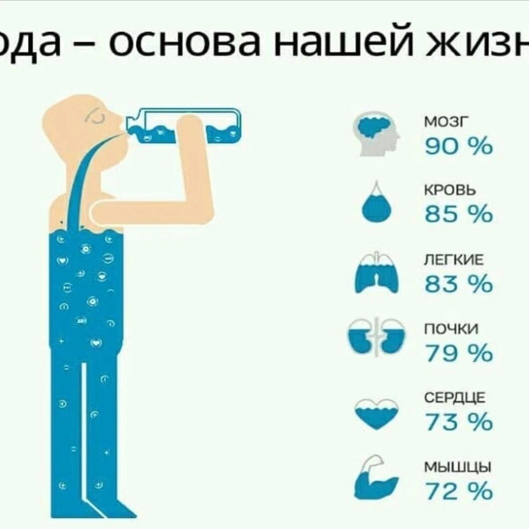 95 процентов воды