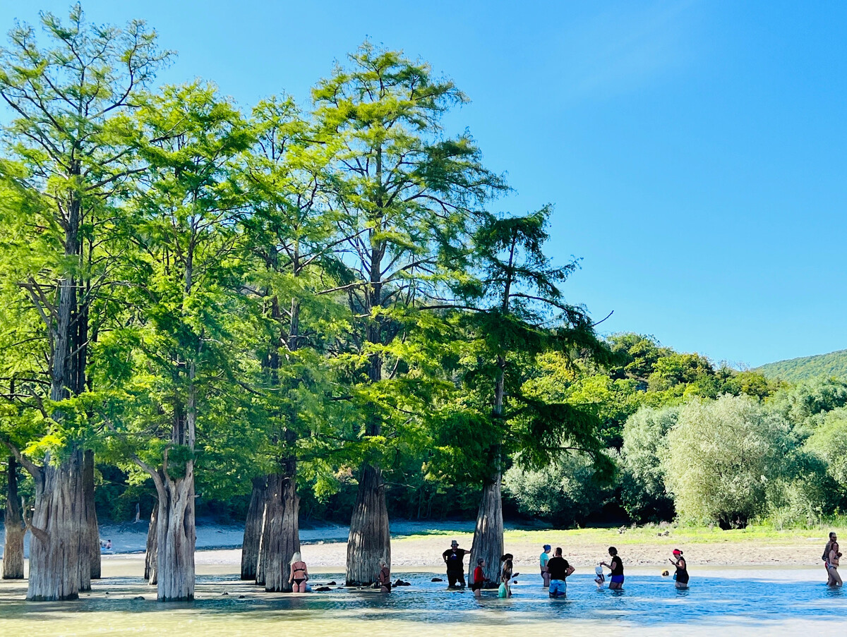 кипарисовое озеро сукко летом
