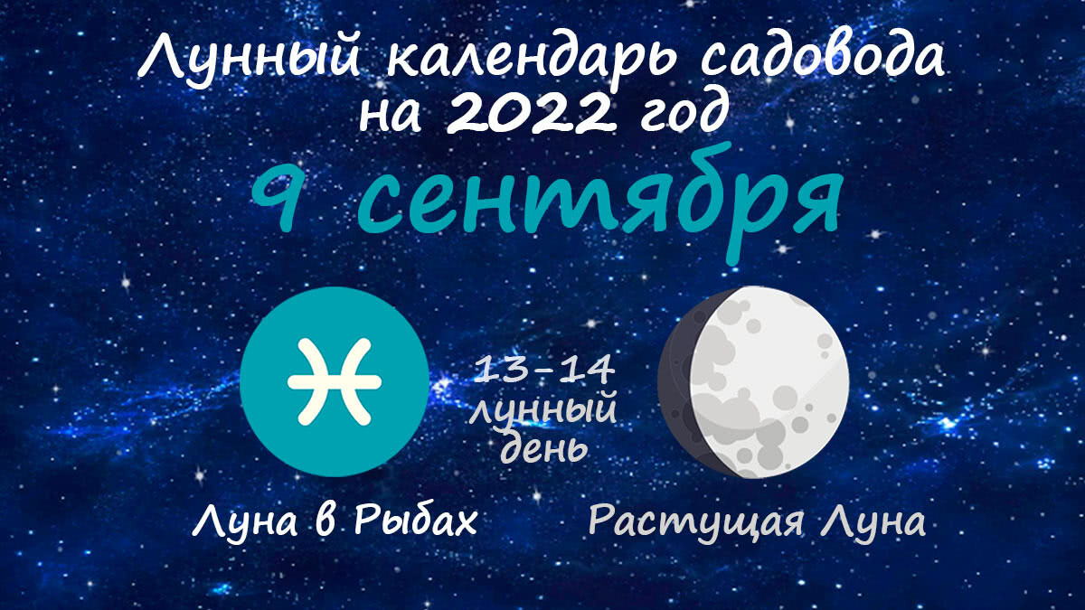 14 лунный день