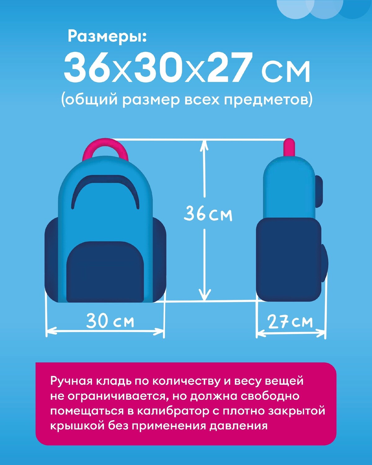 Ручная кладь 55 40 20 как выглядит