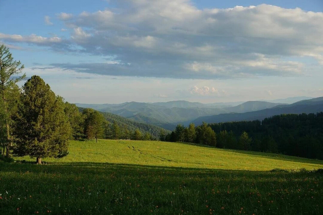 Поселок седьмое небо алтай фото Эко-поселок "Седьмое небо"