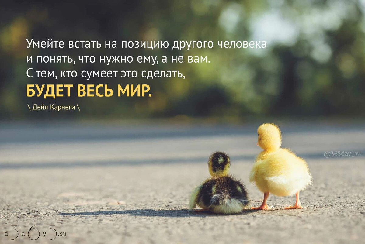 Вся мотивация помещается в нескольких словах у вас всего одна жизнь картинки