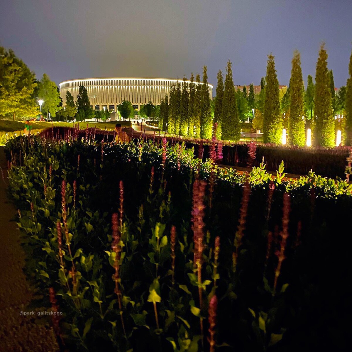 Парк галицкого в краснодаре фото. Город Краснодар парк Галицкого. Парк Галицкого ночью. Парк Галицкого осенью. Парк Галицкого в Краснодаре японский сад.