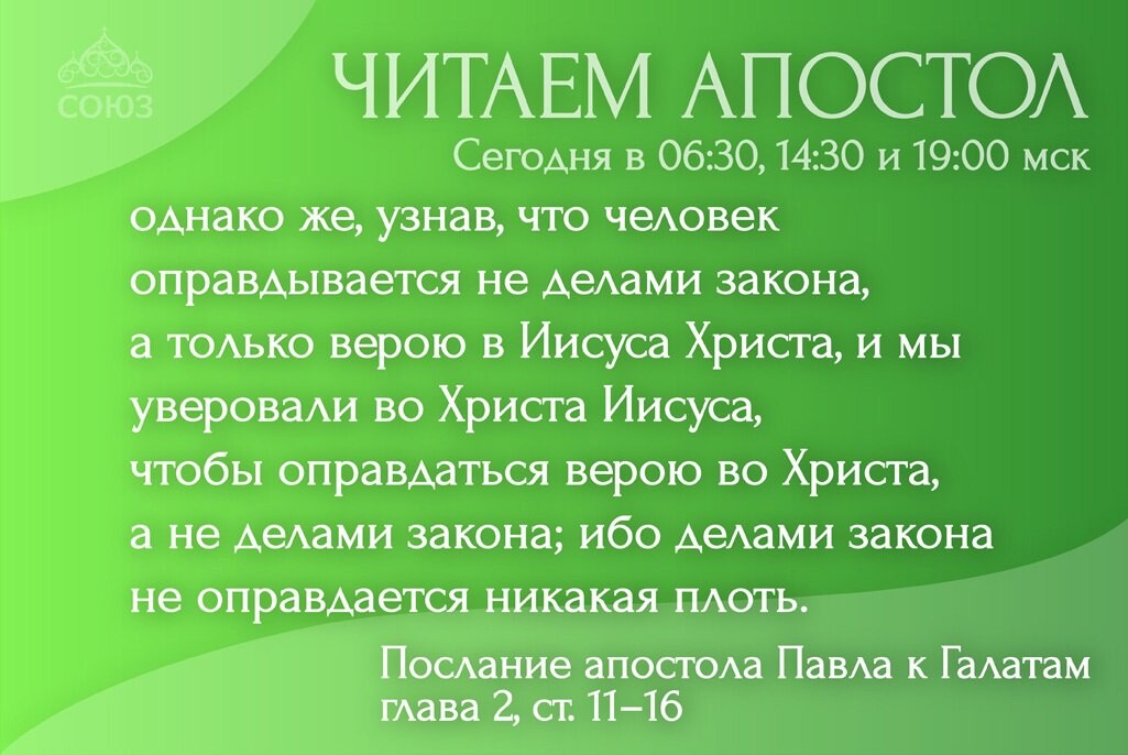 школа студия юлии федотовой рязань. читаем апостол союз. смотрите на телеканале союз программу читаем апостол. читать апостол тв союз. телеканал союз апостол дня.