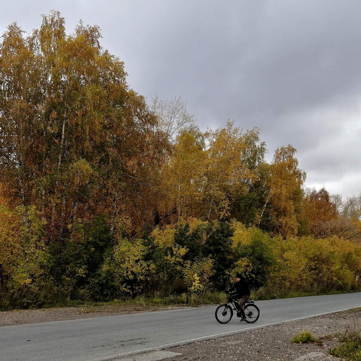 Осень! 🍁 Последнюю неделю я проболела и почти не выходила из дома, а на ...