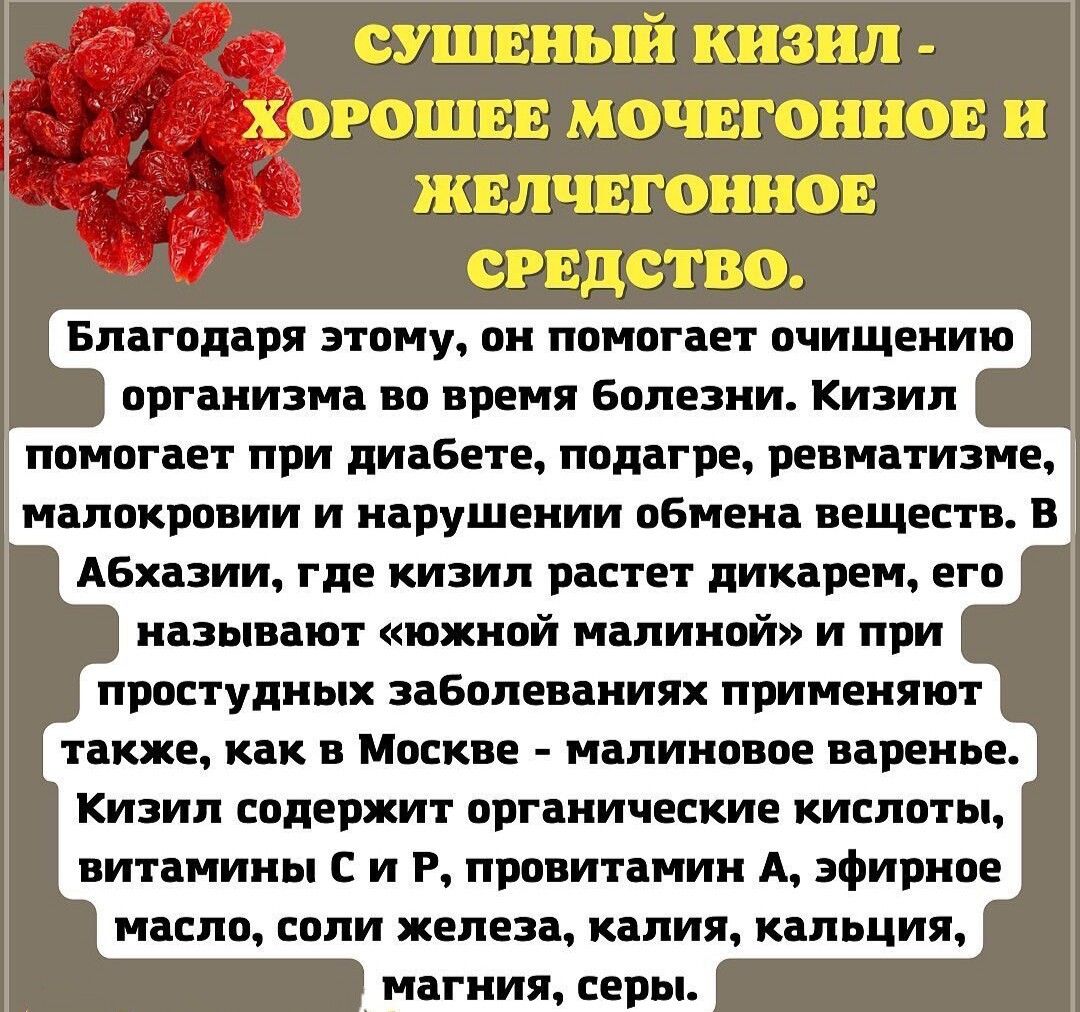 Польза кизила