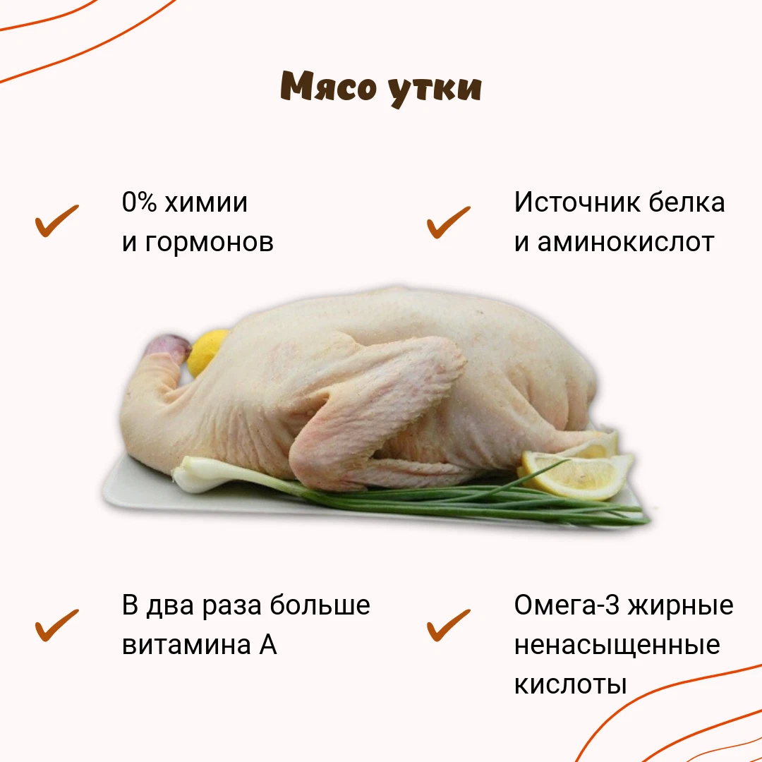 Чем полезна утка. Мясо утки. Тушка утки.