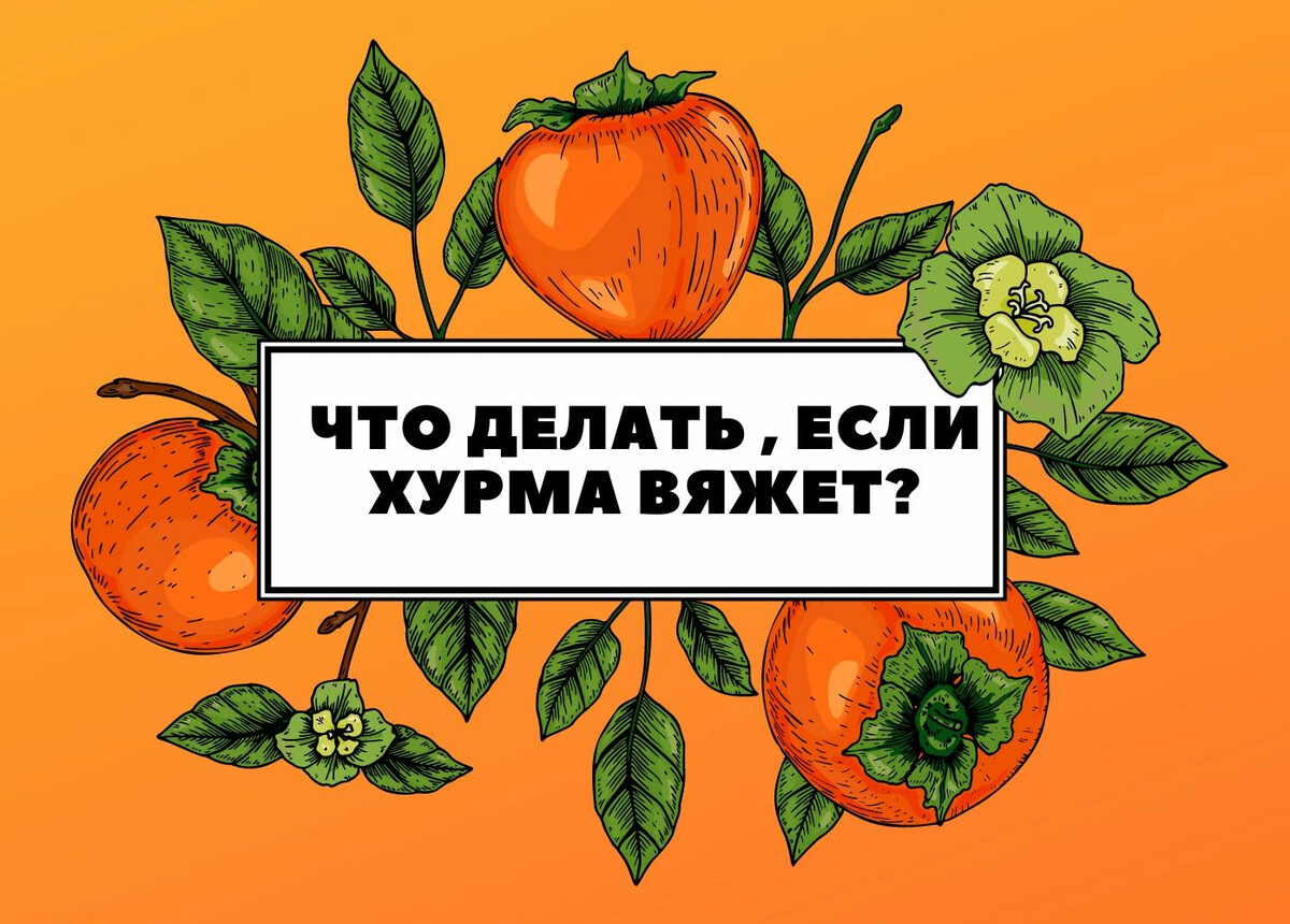 Если хурма вяжет