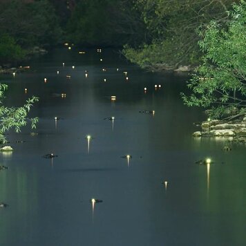 lazy_smart_crop_356x356