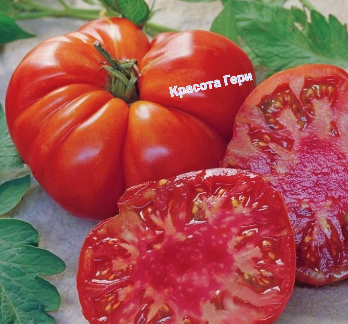 сладость помидор. помидоры черри сладкая ягода. томат черри свит-черри f1. томат кэнди. сочный помидор.