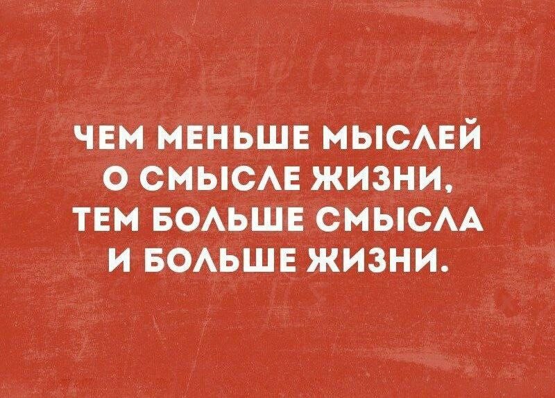 Мысль и смысл. Чем меньше мыслей о смысле жизни тем больше смысла и больше жизни. Чем меньше мыслей о смысле жизни. Мысли юмор. Смысл-смысла.