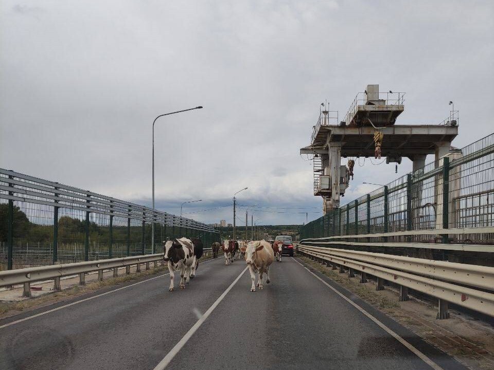 Дамба в шилово воронеж фото