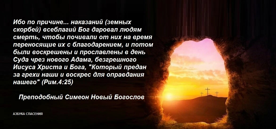 Жуковский о милых спутниках которые наш свет. Не говори с тоской их нет но с благодарностию были читать. Собаки уходят за радугу стих. Не говори с тоской их нет но с благодарностию были читать. Их нет но с благодарностию были.