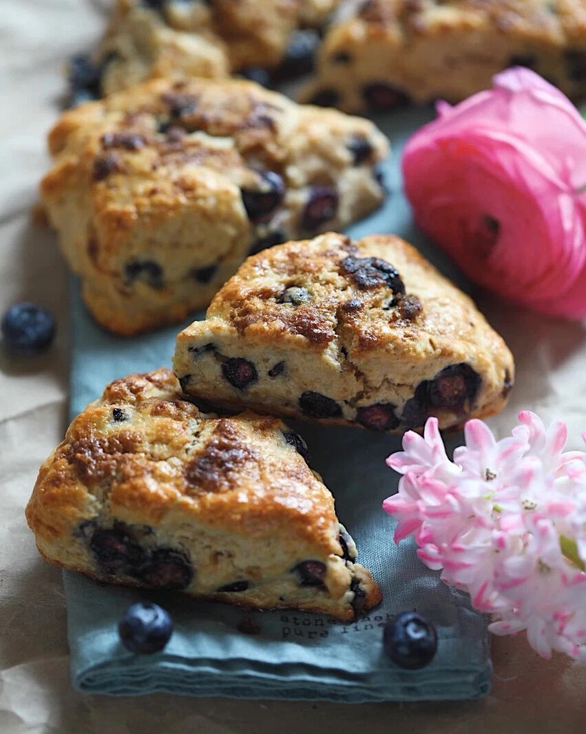 Британские СКОНЫ