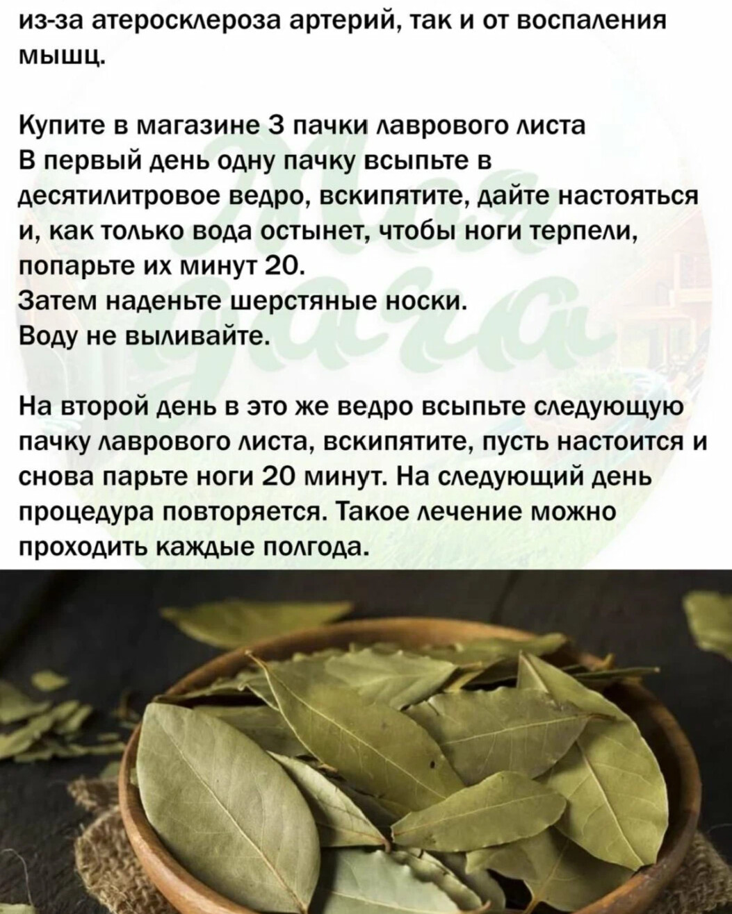 Настой из лаврового листа