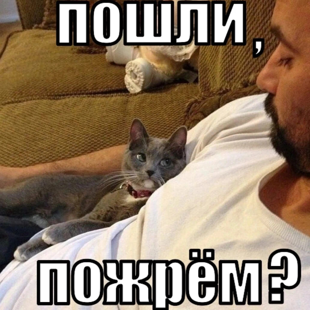 Пошли кушать картинки