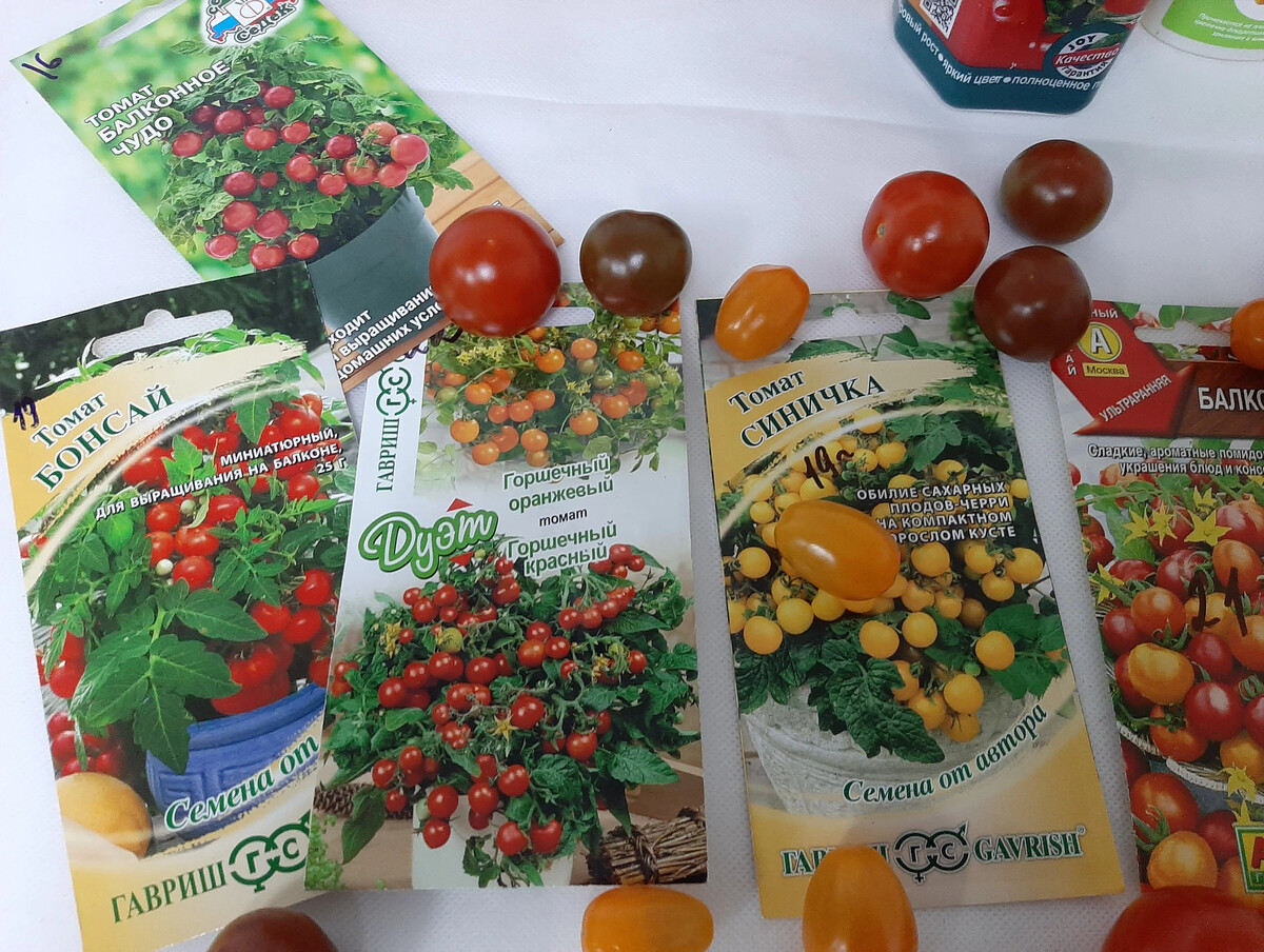 Сорт земляники александрина. Ремонтантная клубника фреска. Плодоносящее круглый год. Клубника ампельная тоскана. Плодоносящее круглый год.