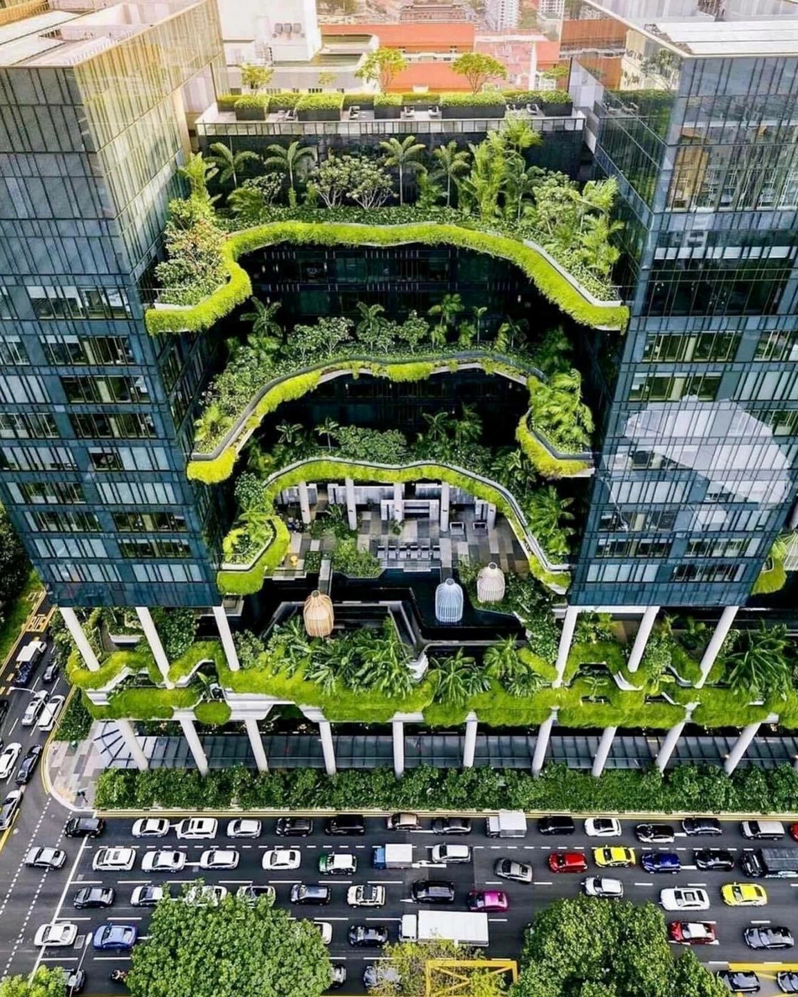 Самая зеленая столица. Парк Роял Сингапур архитектура. Отель PARKROYAL В Сингапуре. Сингапур Экогород. Парк Роял Сингапур Архитектор.