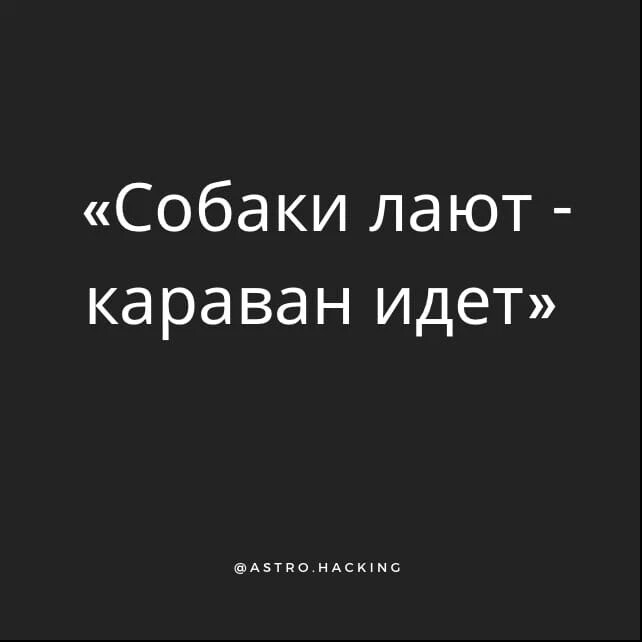 Собака лает караван идет картинки