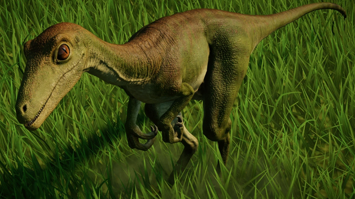 Троодон jurassic world. Дромеозавриды троодон. Дромеозавр динозавр. Троодон jurassic world. Троодон динозавр.