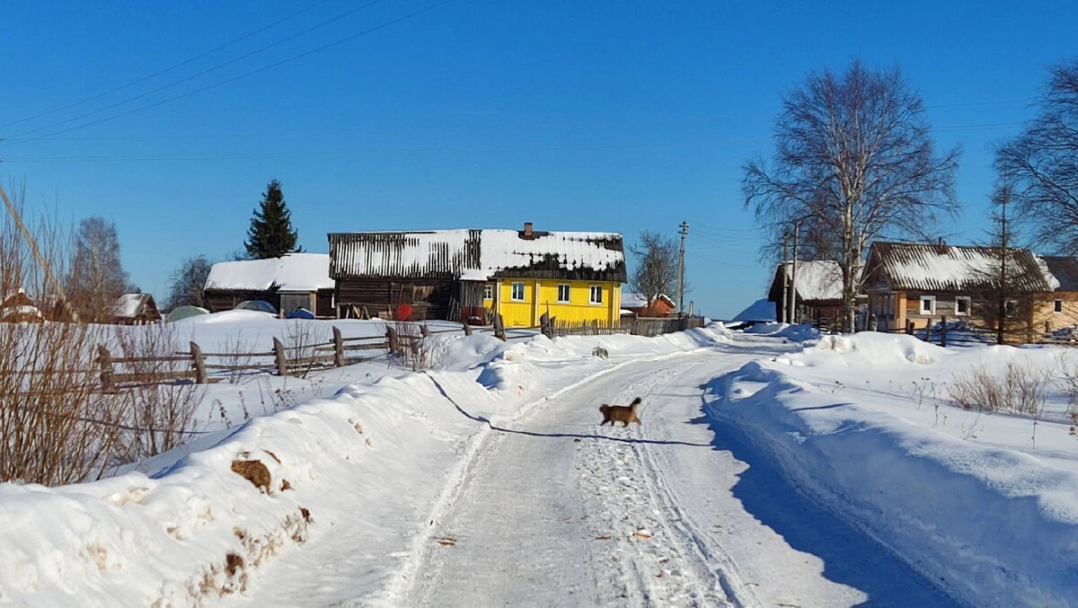 малая вишера природа. река шешма в татарстане. в деревне протекает речка. река кунья исток. река мышкова.